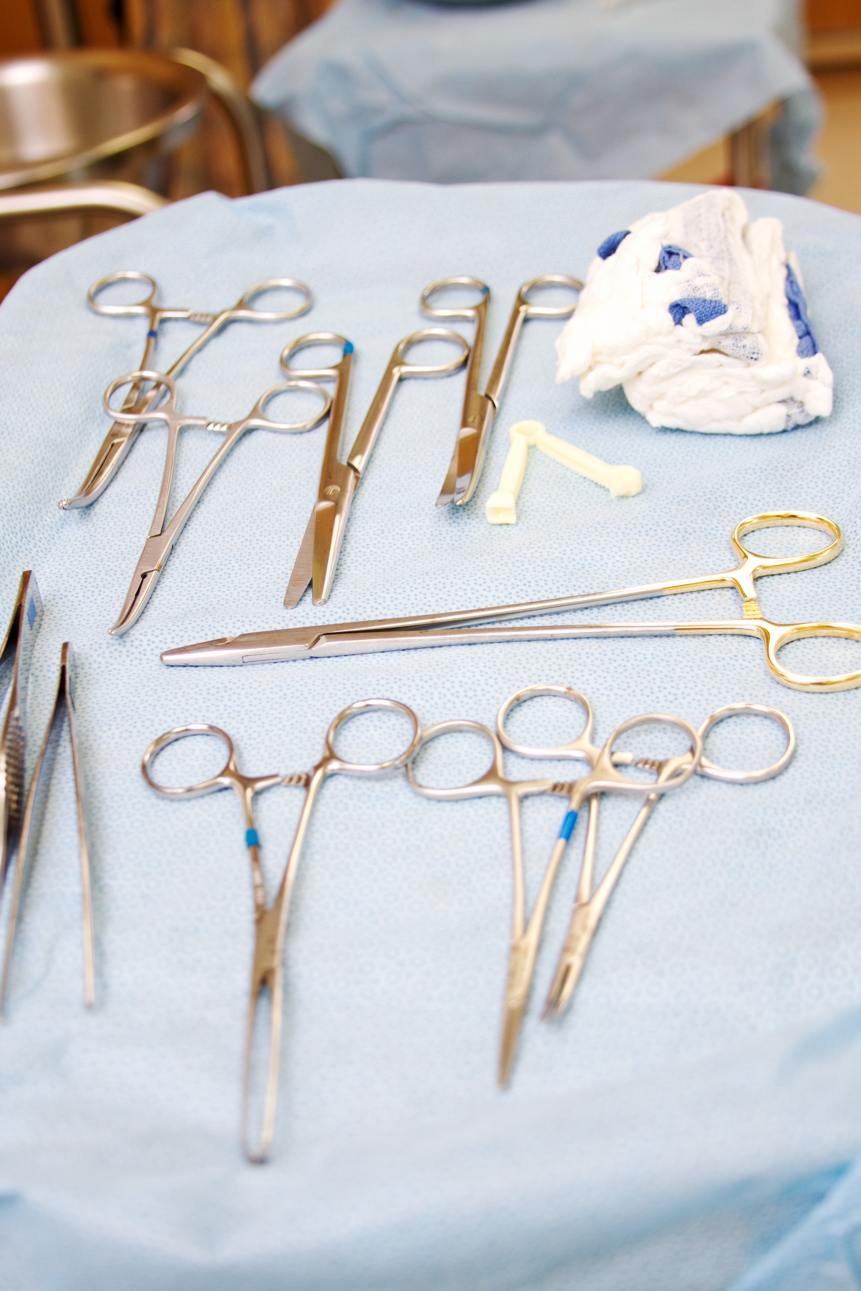 Large Surgical Scissors - 6.5"