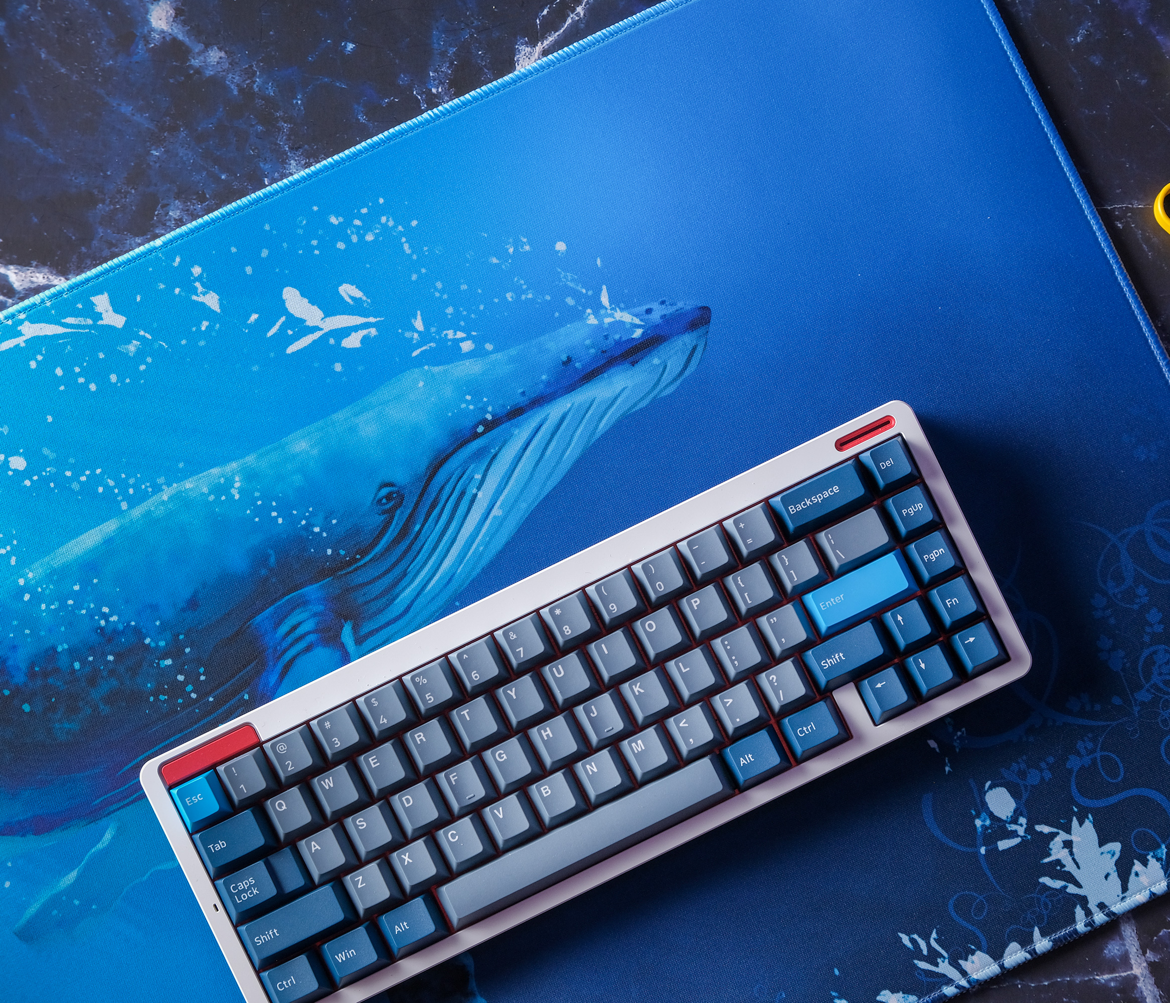 Blue Whale Desk Mat