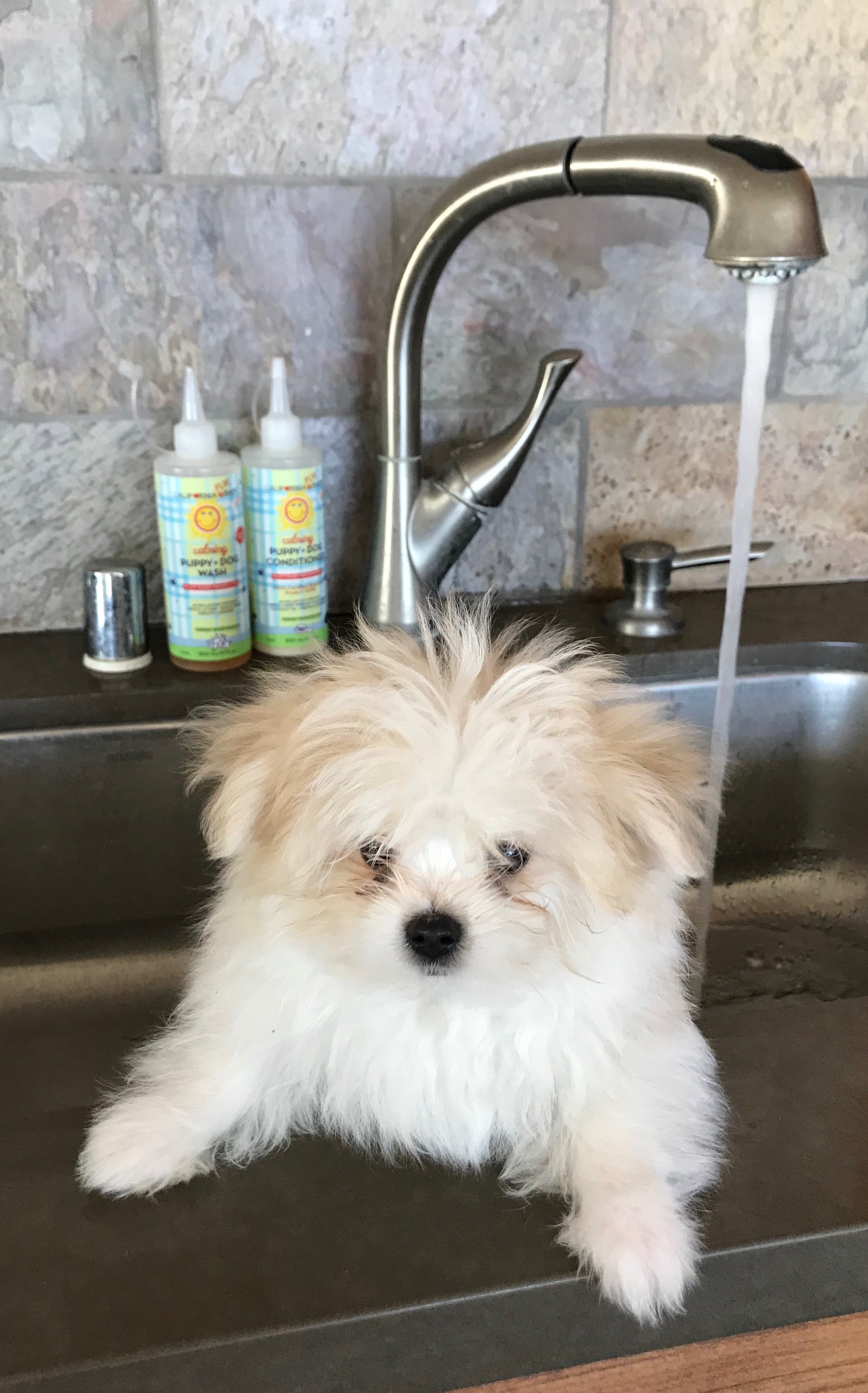 Calming™ Puppy + Dog Conditioner