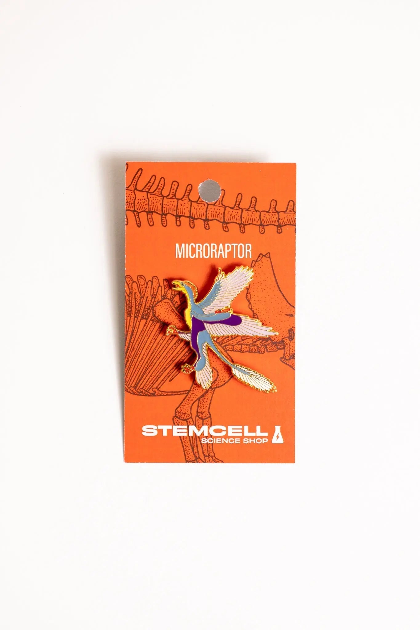 Microraptor Enamel Pin (Microraptor gui)