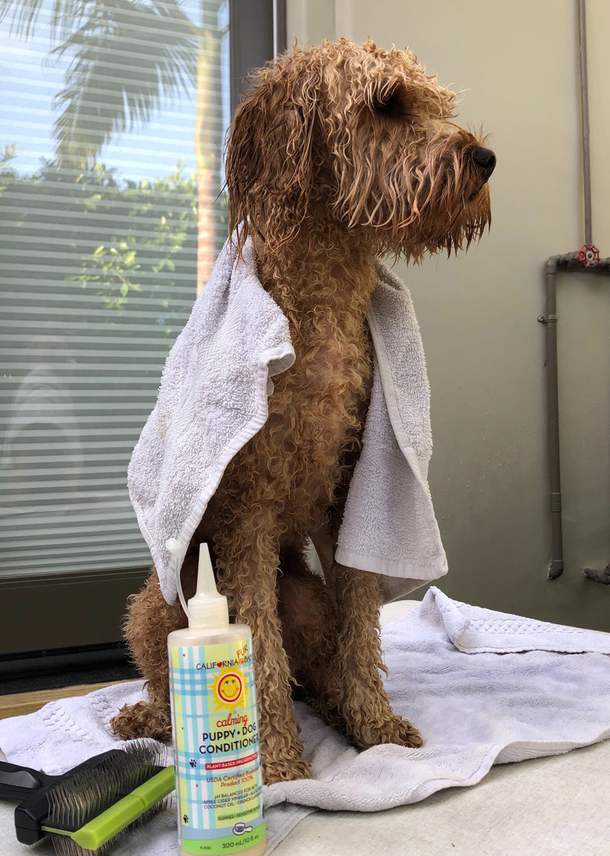 Calming™ Puppy + Dog Conditioner