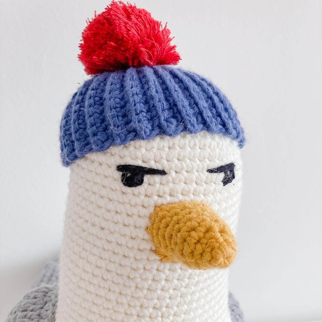 Seth the Seagull