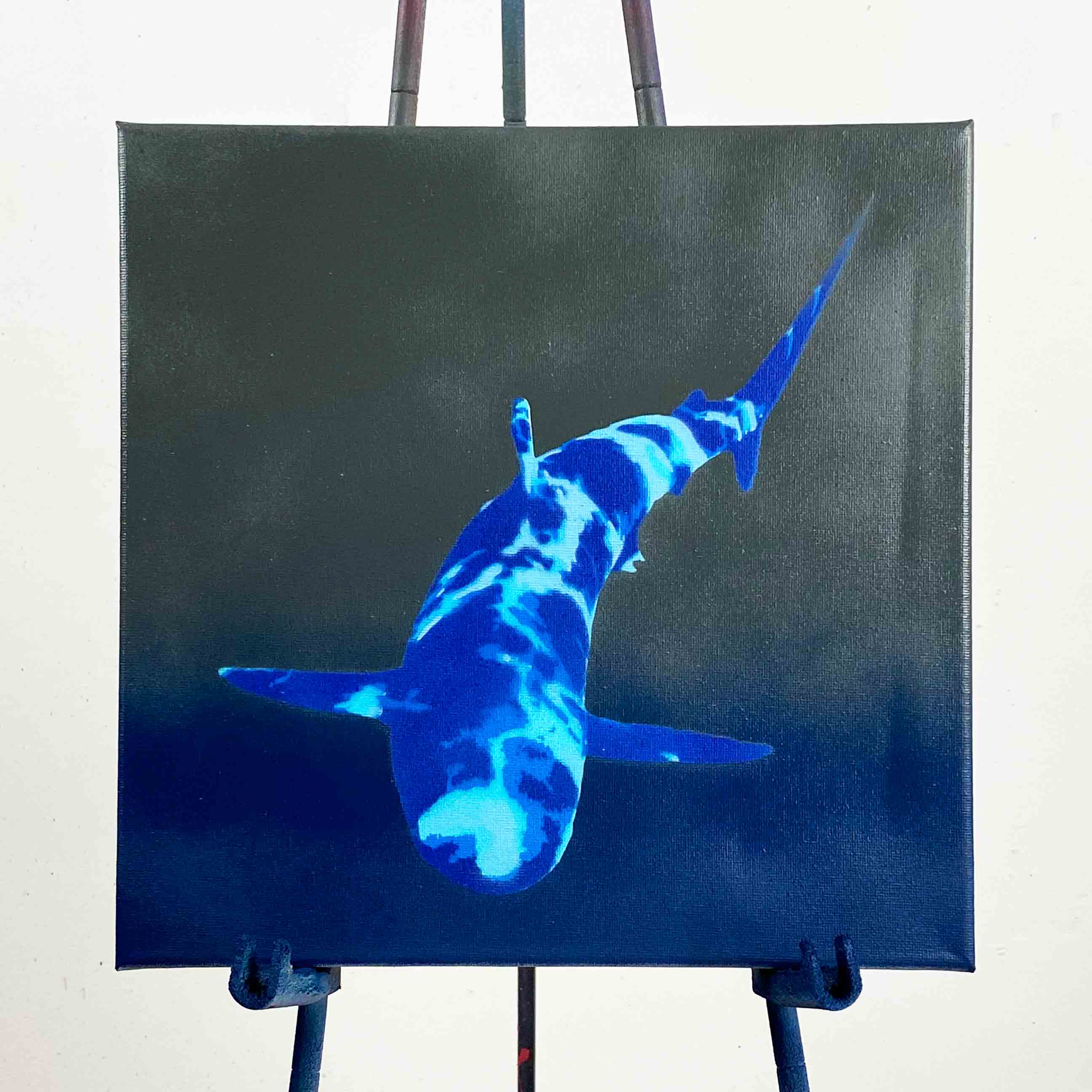 Reflective Shark 4 Layer Stencil Set