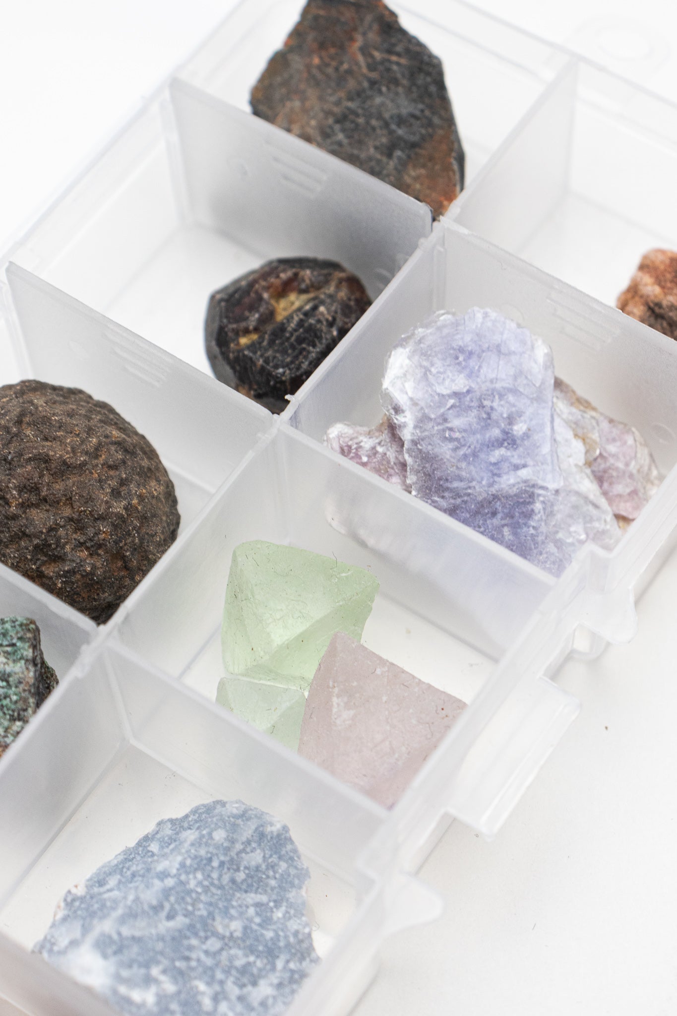 Specimen Collection Box