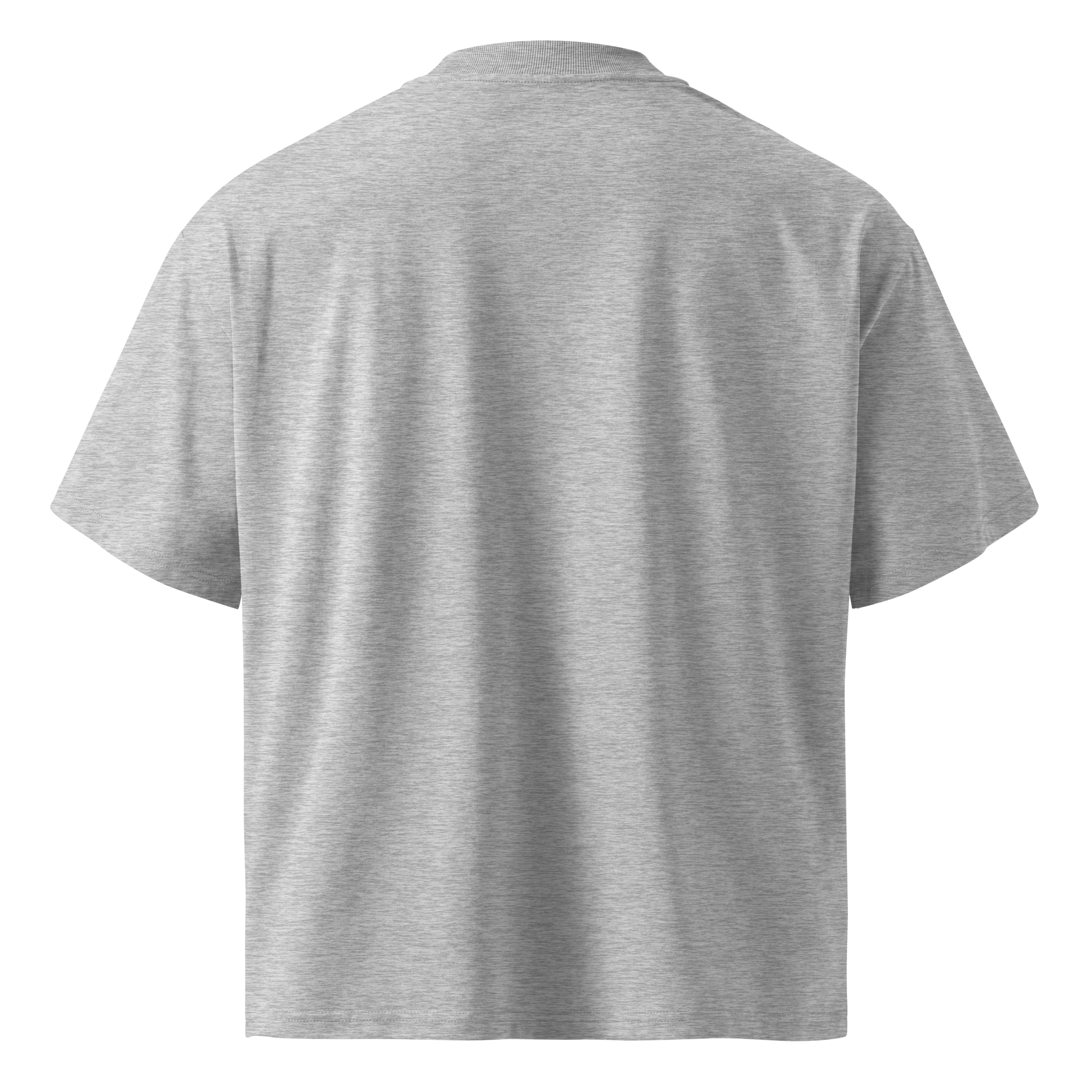 Hack The Planet – Oversized Organic High-Neck T-Shirt