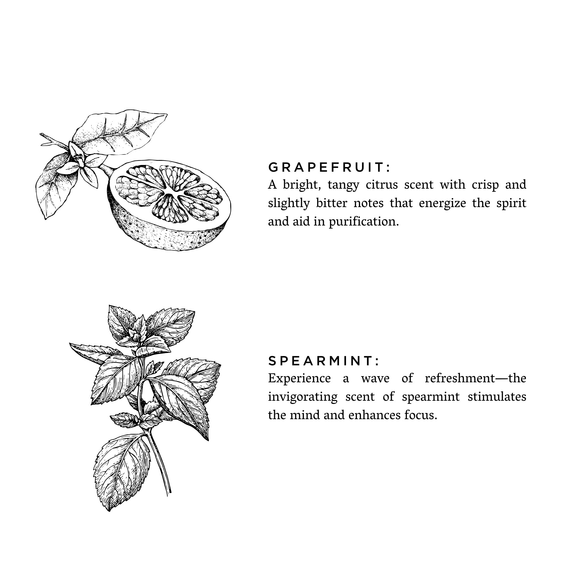 Grapefruit + Spearmint