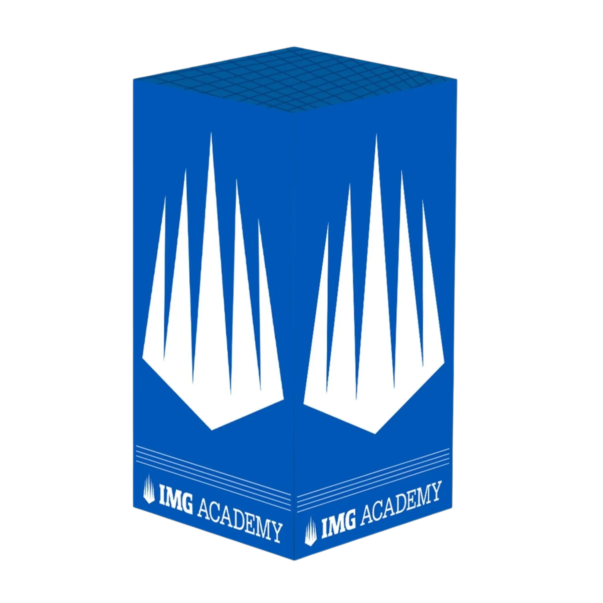 IMG Ascender Edition Xbox X/S VarsityWrapz