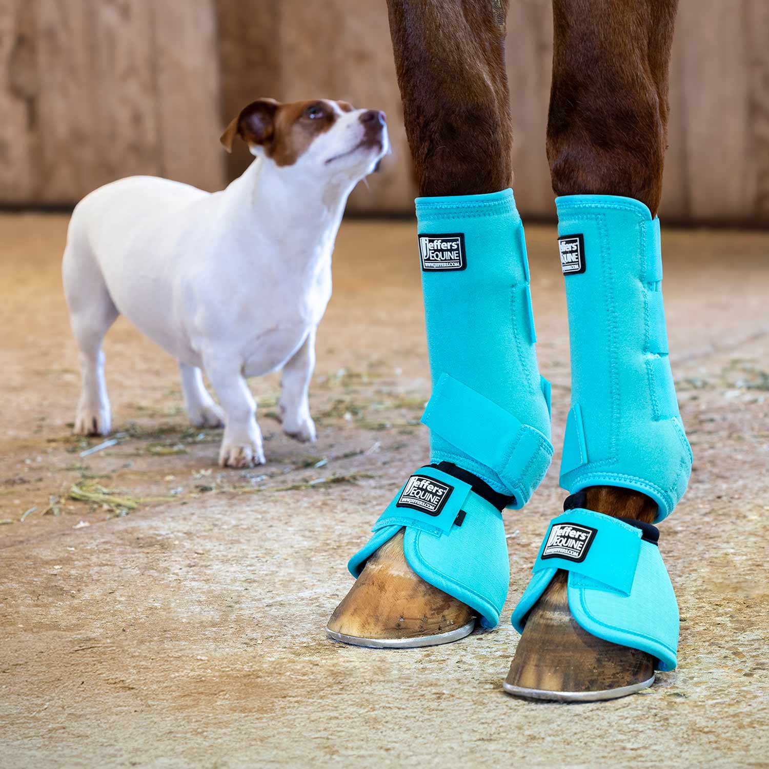Jeffers No-Turn Bell Boots for Horses, Solid Colors, 2 ct