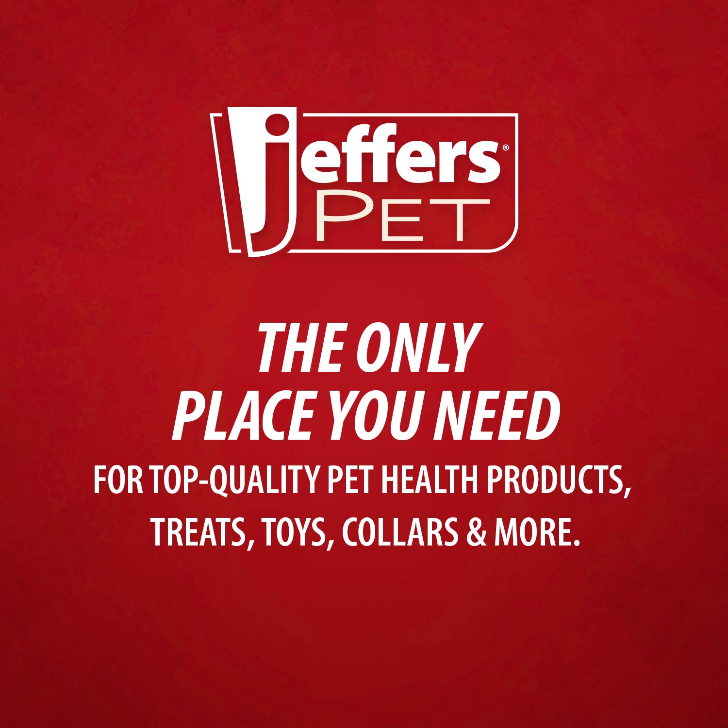 Jeffers Red Orbits Ball Natural Rubber Dental Treat Dispensing Dog Chew Toy