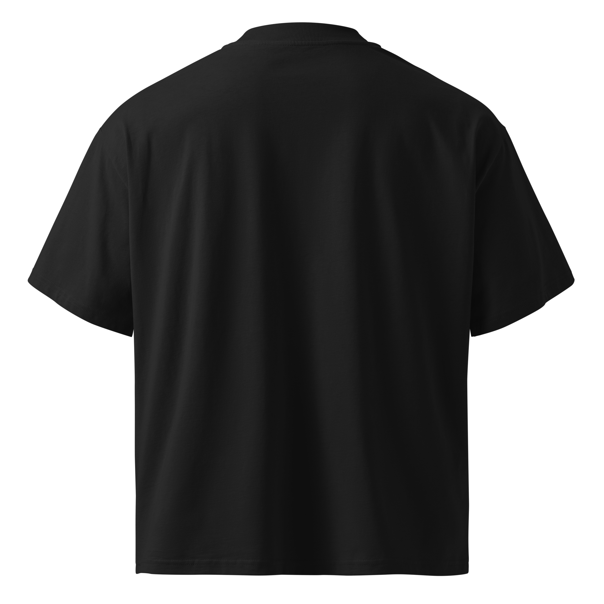 Privacy Is Power – Oversized Organic High-Neck T-Shirt