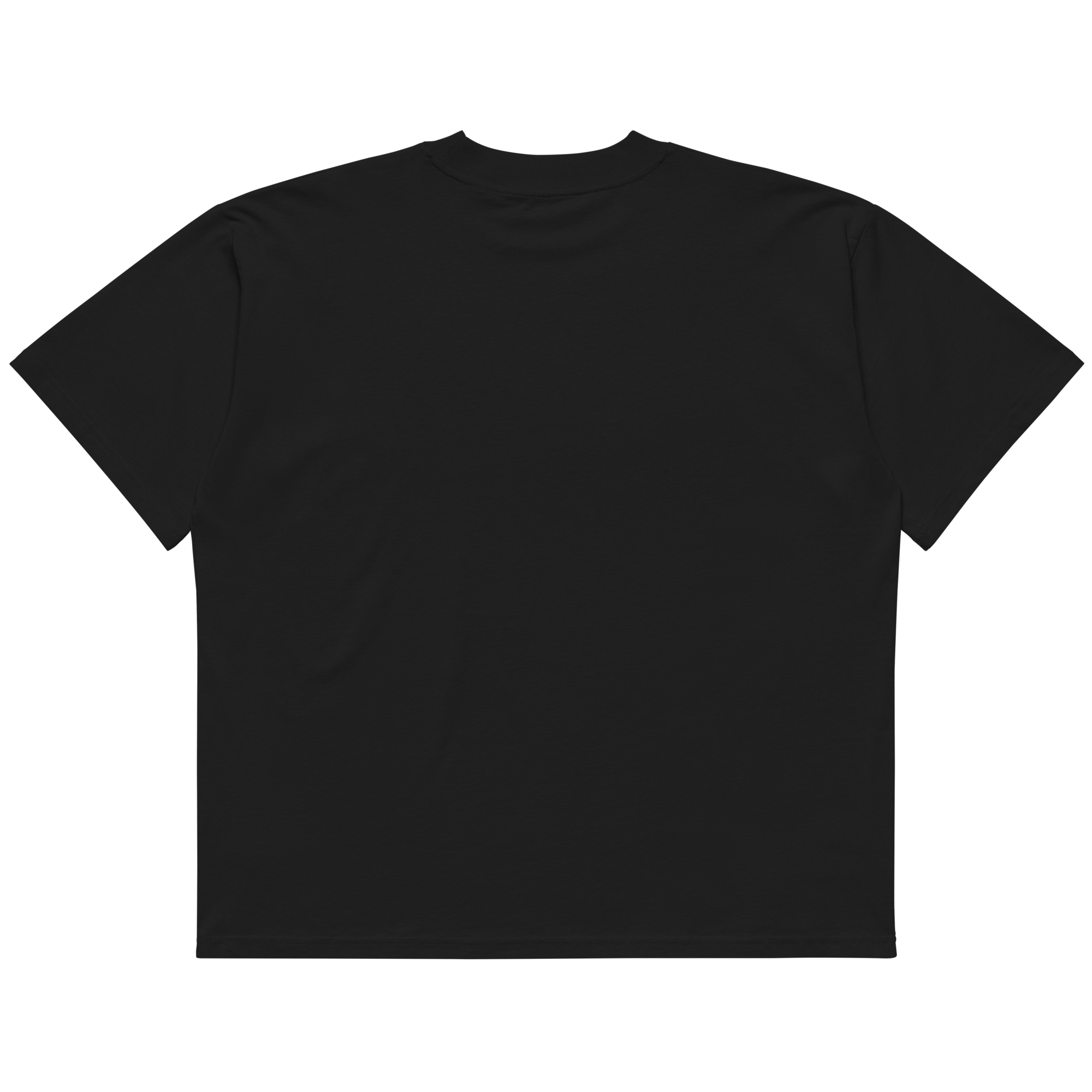 STS “Stay Hidden Stay Secure” Cybersecurity Oversized Organic High-Neck T-Shirt