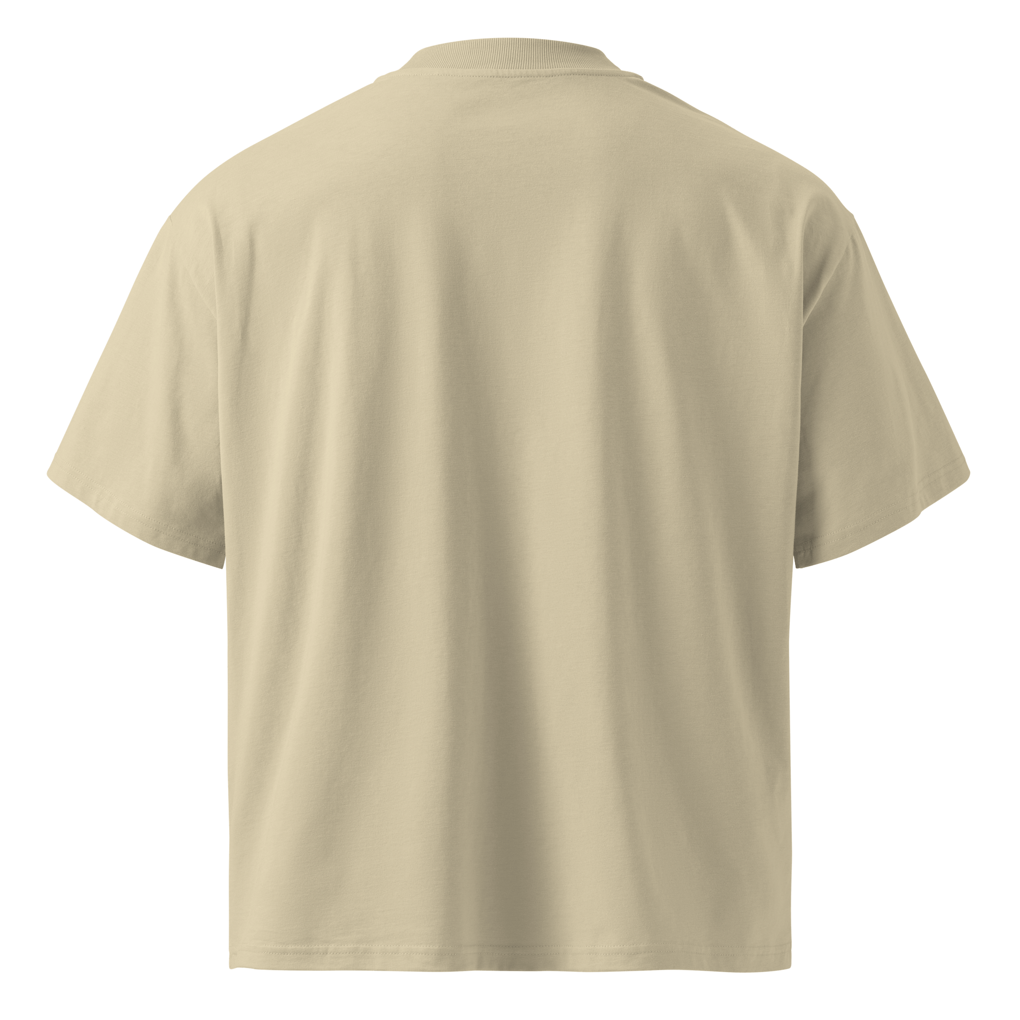 Ghost Mode: Enabled – Oversized Organic High-Neck T-Shirt