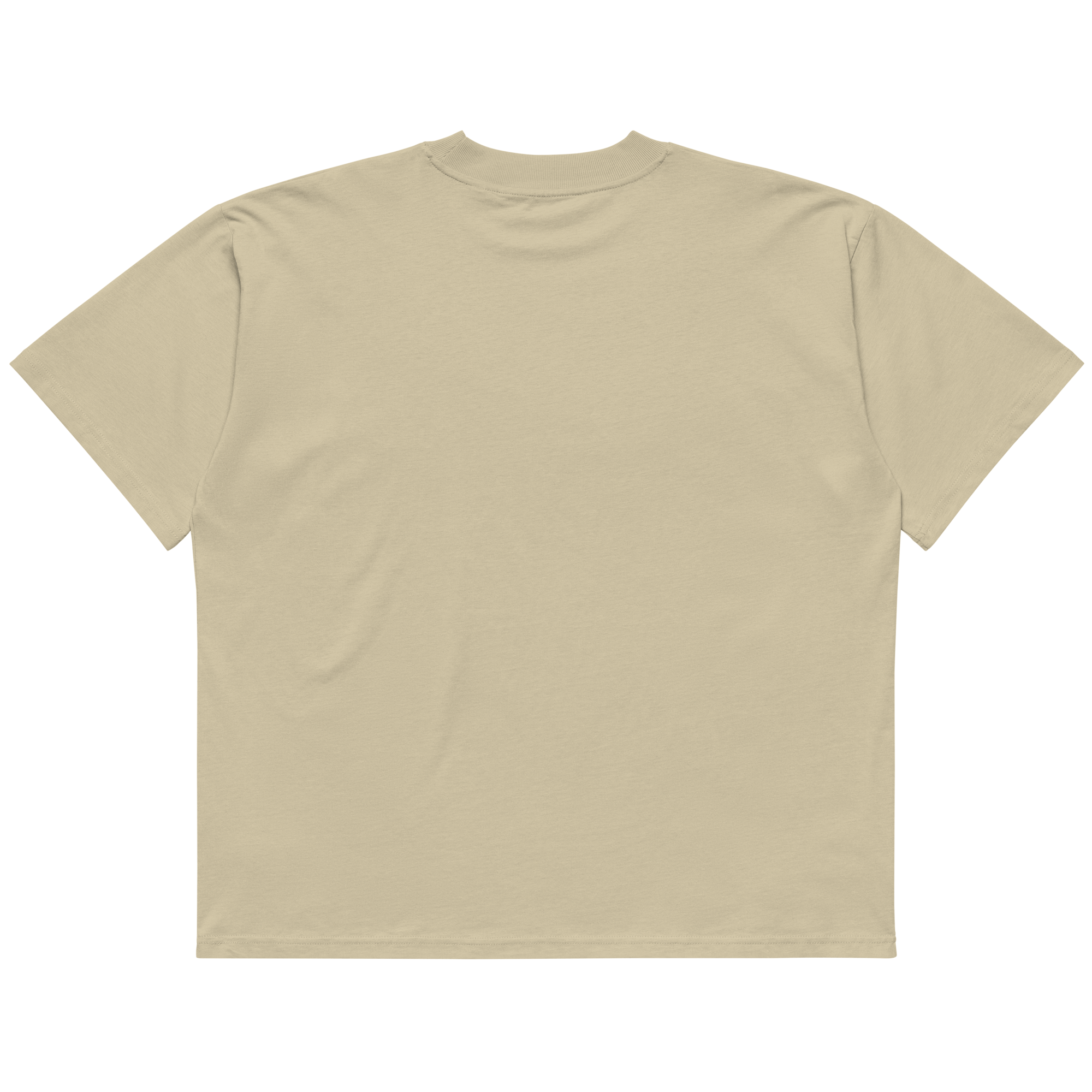 STS “Stay Hidden Stay Secure” Cybersecurity Oversized Organic High-Neck T-Shirt