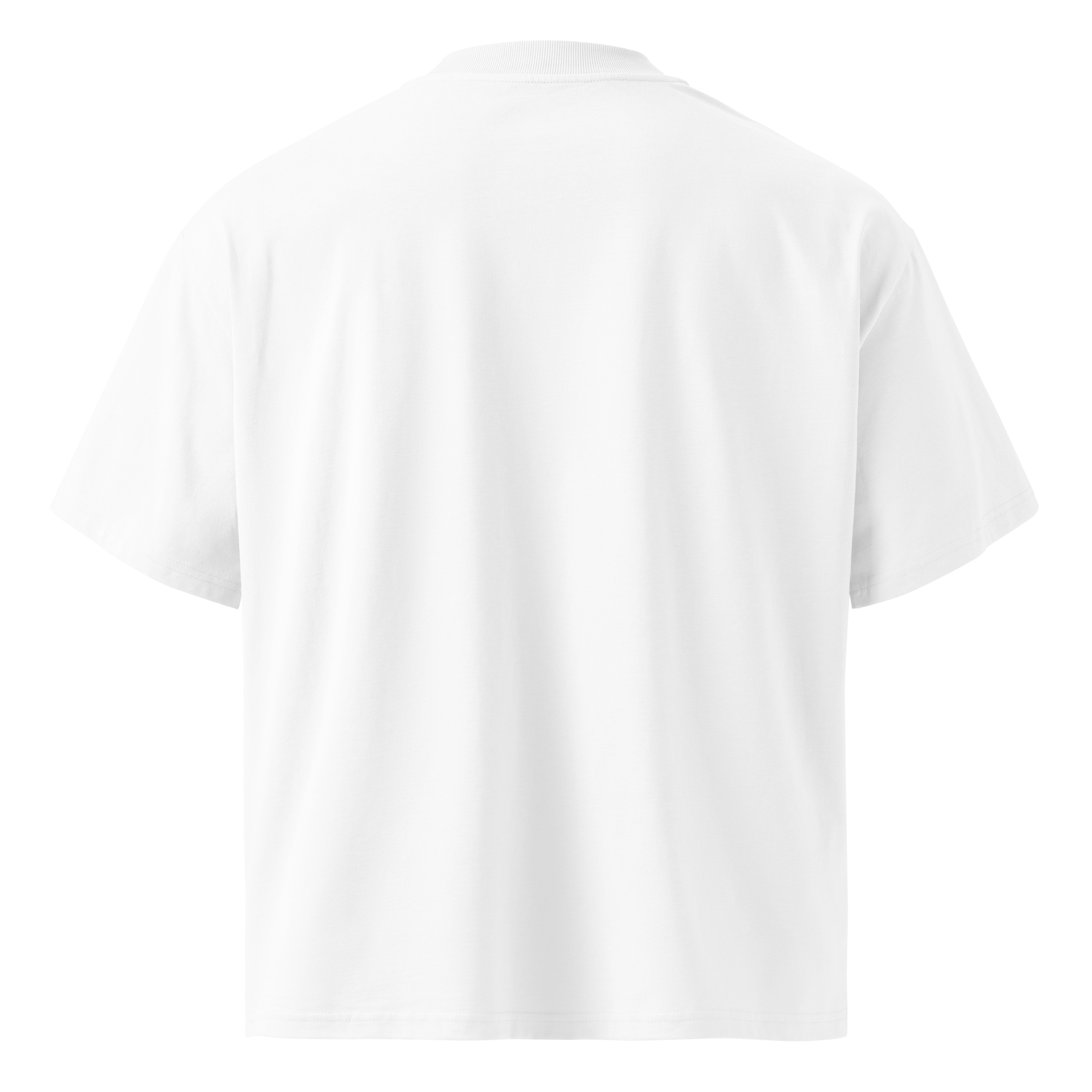 Ghost Mode: Enabled – Oversized Organic High-Neck T-Shirt