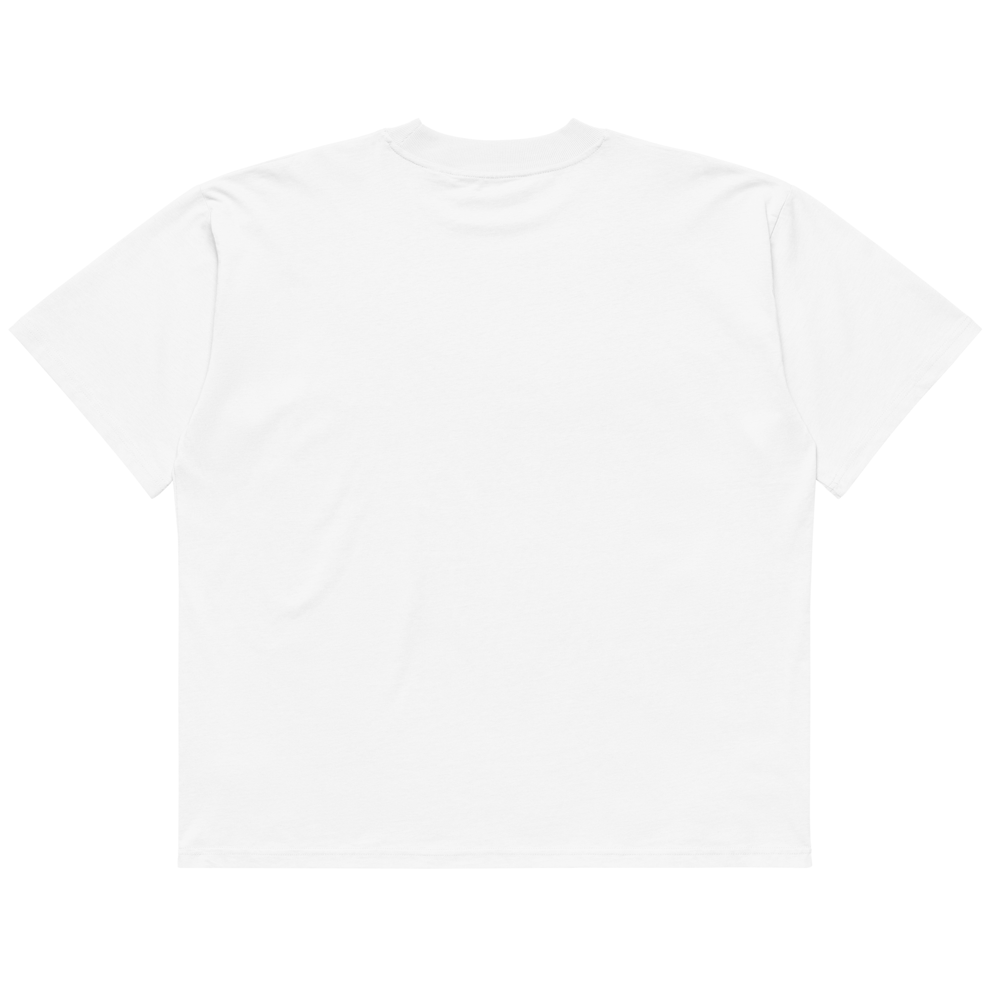 STS “Stay Hidden Stay Secure” Cybersecurity Oversized Organic High-Neck T-Shirt
